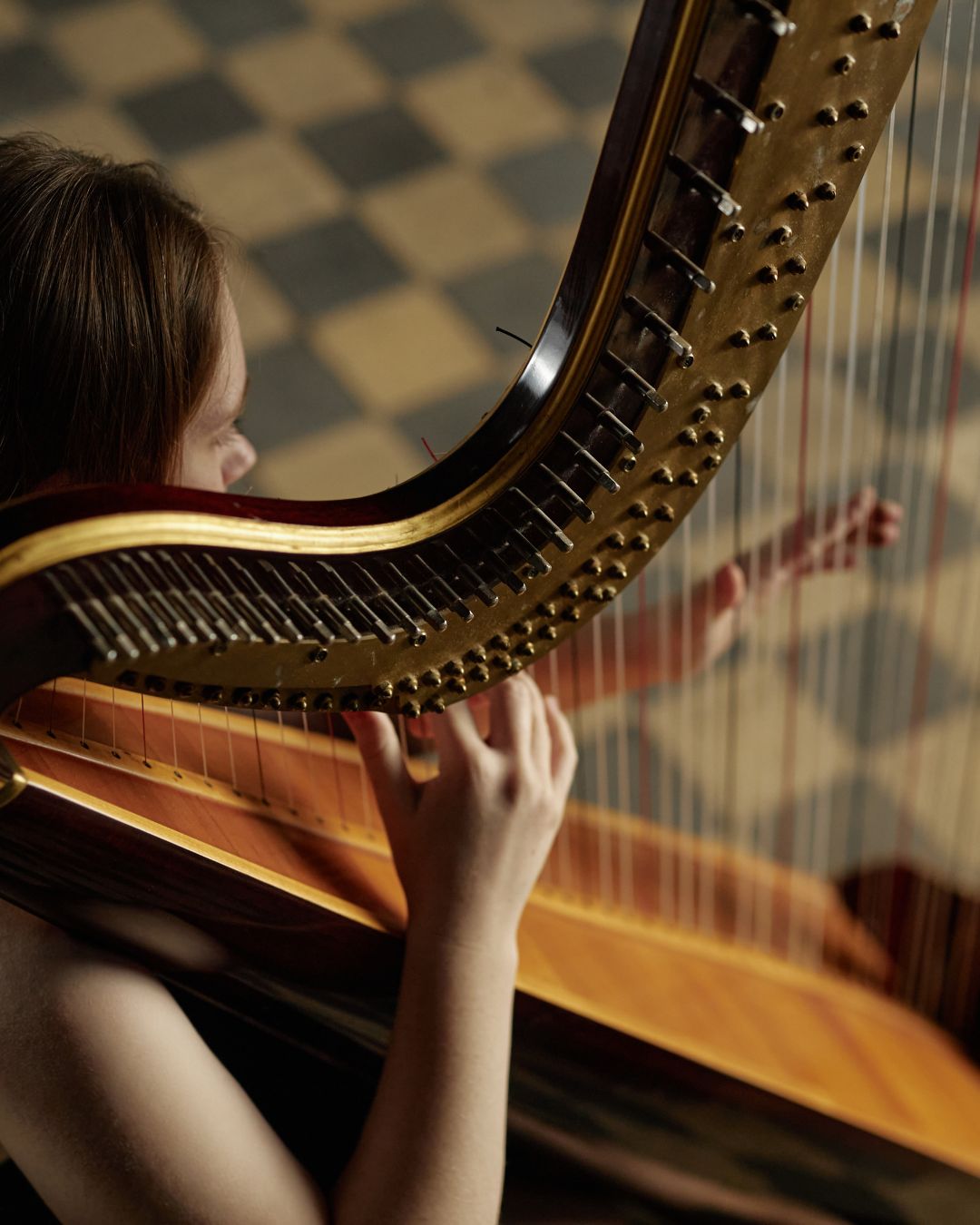 Boekenweek in muziek